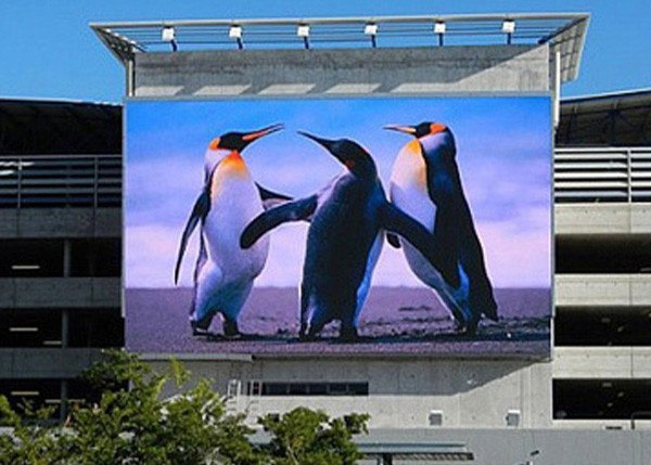 led wall supplier